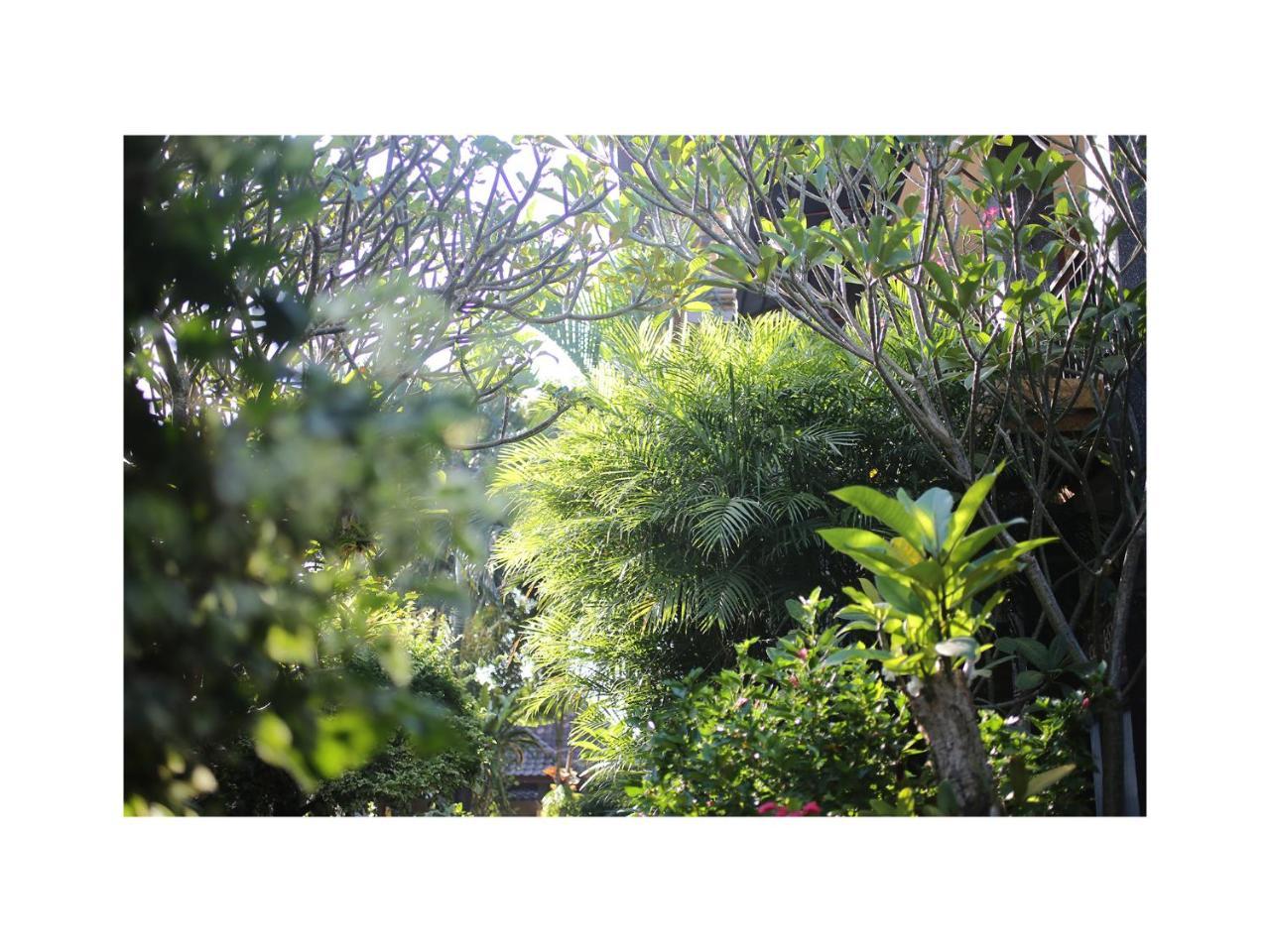 In Da Garden Apartment Ubud  Exterior photo